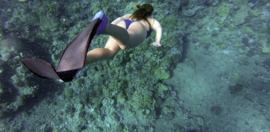 Fare-diving-e-snorkeling-a-lampedusa