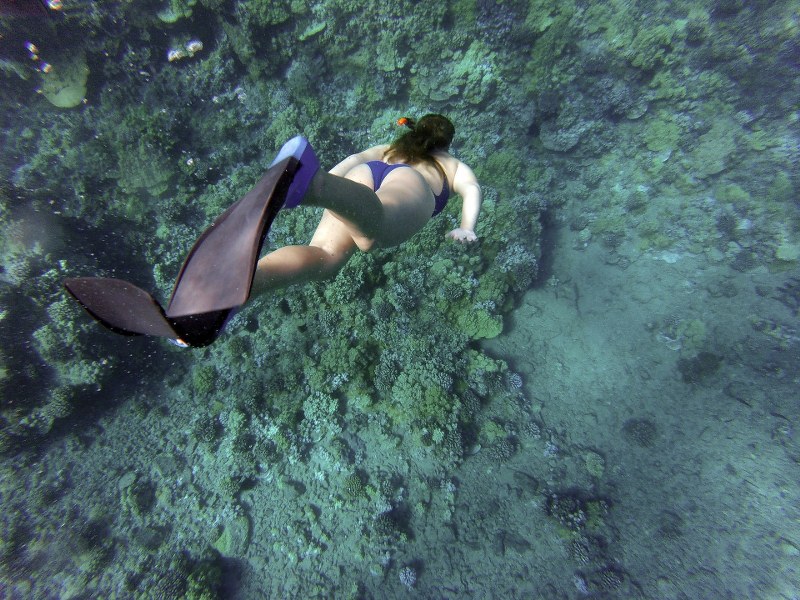 Fare-diving-e-snorkeling-a-lampedusa